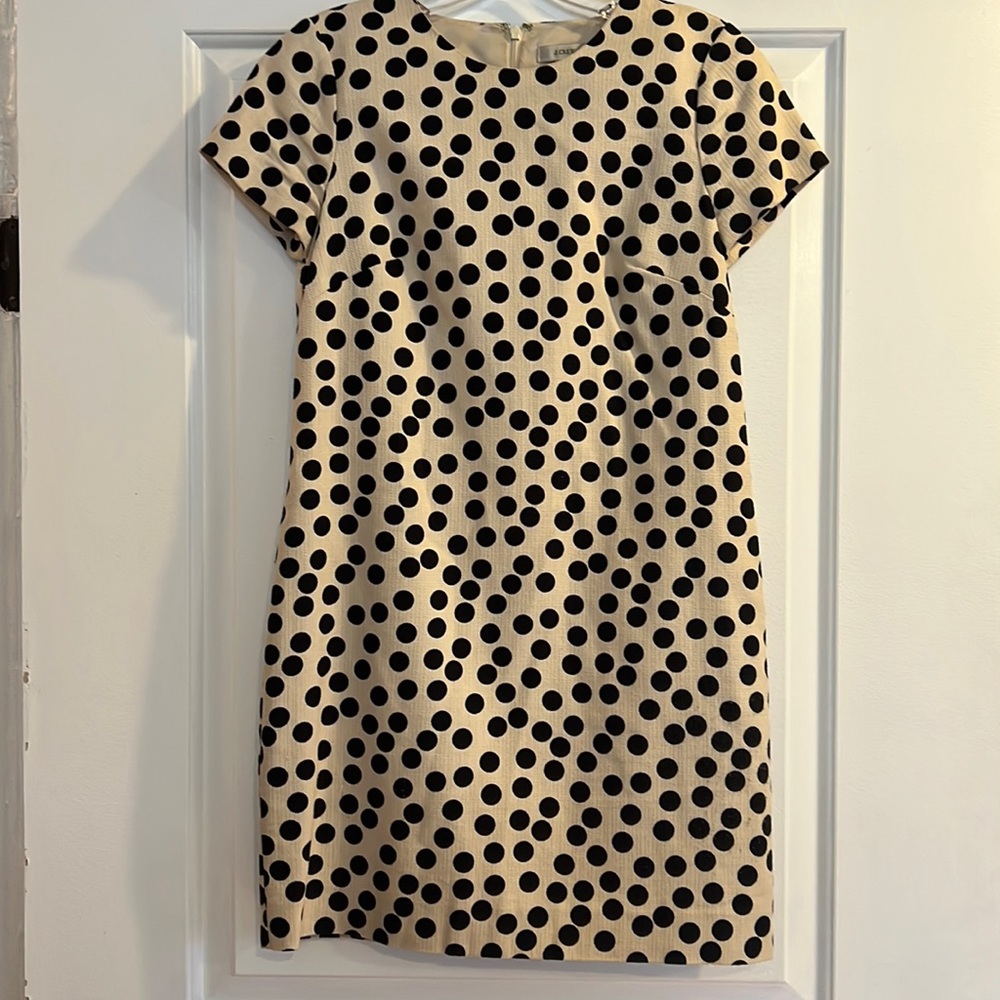 Jcrew Polka Dot Dress